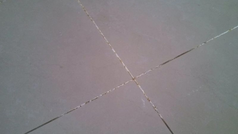 Vì sao ron gạch bị đen?