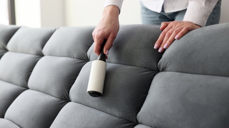 Làm sạch lông thú cưng trên ghế cấp tốc