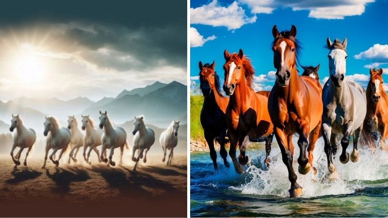 Hình nền mã đáo thành công cho điện thoại 3 Hình nền mã đáo thành công cho điện thoại 3