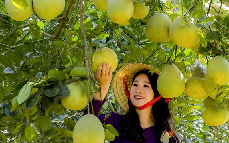 Mùi hương: Thơm dịu tự nhiên