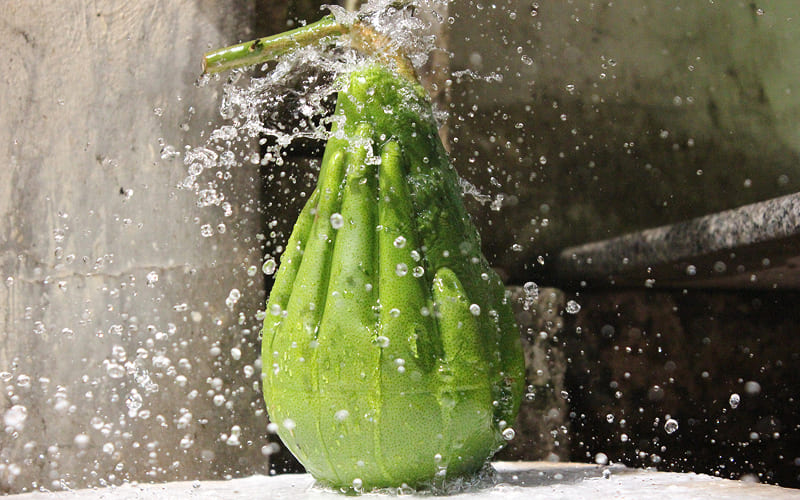 Không rửa bưởi bằng nước lã