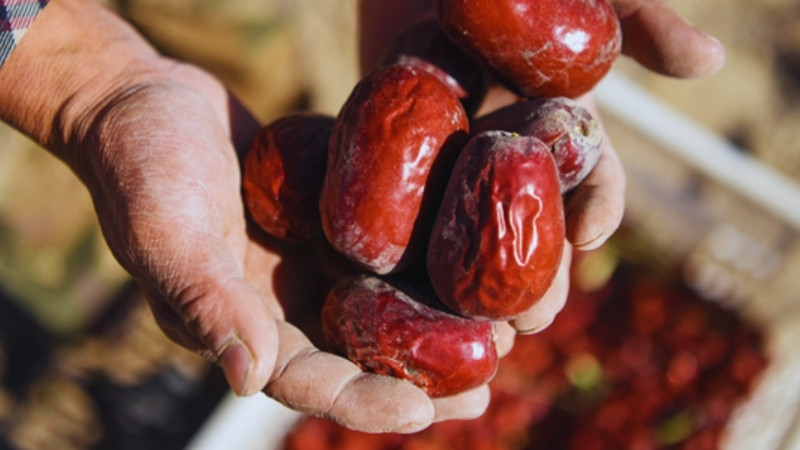 Táo đỏ Tân Cương giúp bổ máu, lưu thông khí huyết cho da hồng hào và thần thái rạng rỡ Táo đỏ Tân Cương giúp bổ máu, lưu thông khí huyết cho da hồng hào và thần thái rạng rỡ