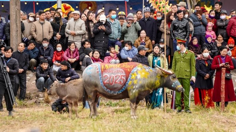 Nên đi sớm ngày mùng 7, mặc đồ lịch sự và đi giày bệt để thuận tiện xem vua đi cày