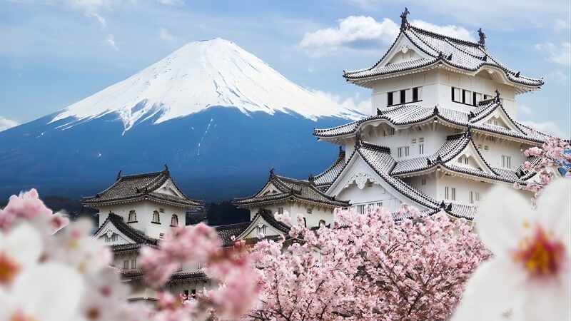 Câu hỏi thường gặp Câu hỏi thường gặp