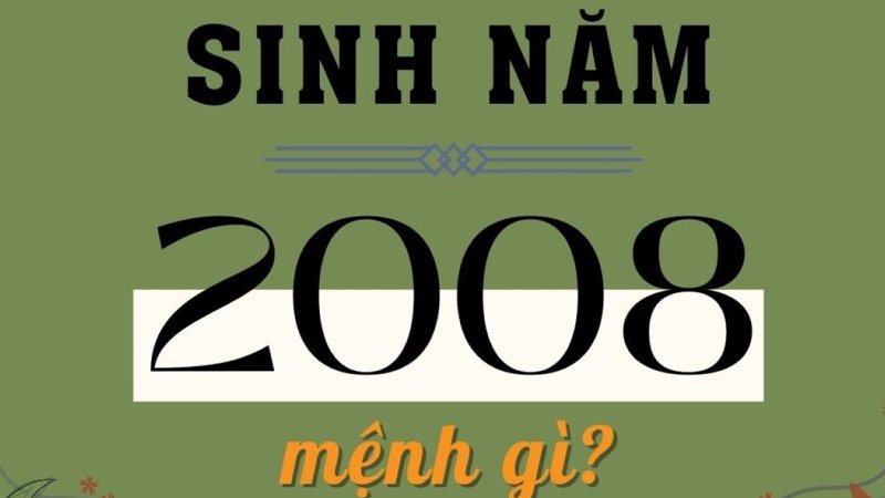 Sinh năm 2008 là tuổi gì?