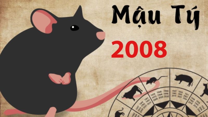 Tuổi Mậu Tý 2008 hợp với con số nào?