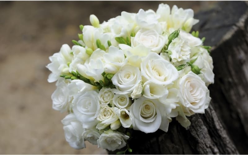 Hoa hồng trắng gửi gắm yêu thương bền lâu.