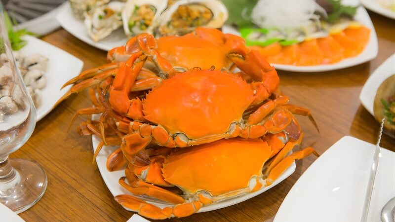 Câu hỏi thường gặp (FAQ)