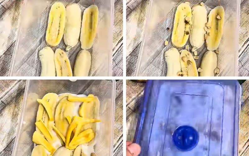 Bạn xếp chuối và topping thành từng lớp đẹp.