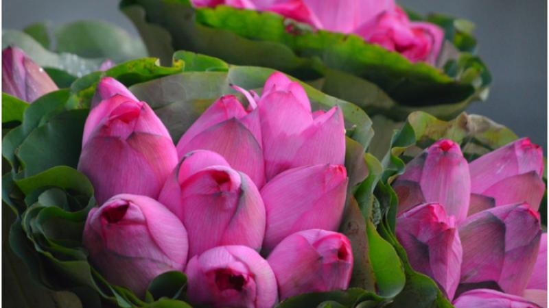 Hoa tươi đi lễ chùa Hoa tươi đi lễ chùa