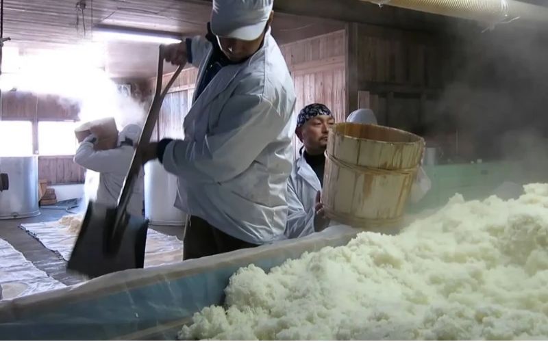 Các bước tạo shubo và lên men moromi quyết định cấu trúc cồn và tầng hương của sake