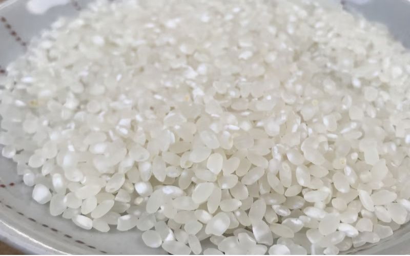 Gạo sakamai chuyên dụng quyết định độ tinh khiết và cấu trúc vị của rượu sake