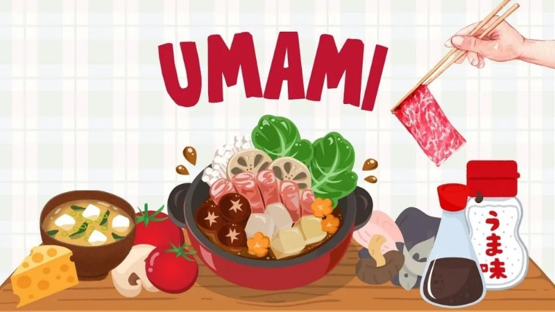 Vị Umami là vị thứ 5, mang đặc trưng ngọt thịt đậm đà từ các axit amin tự nhiên