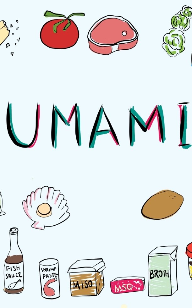 Vị Umami là gì? Khám phá vị ngon đặc trưng trong ẩm thực