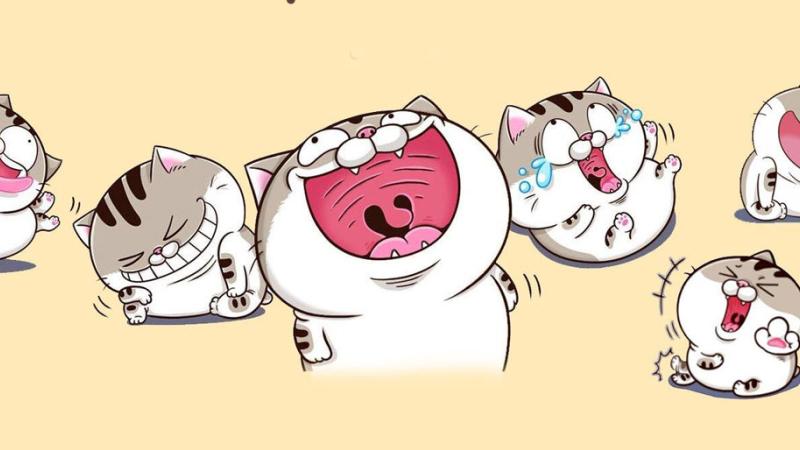 Cách viết STT 8/3 hài hước nhưng không kém duyên Cách viết STT 8/3 hài hước nhưng không kém duyên