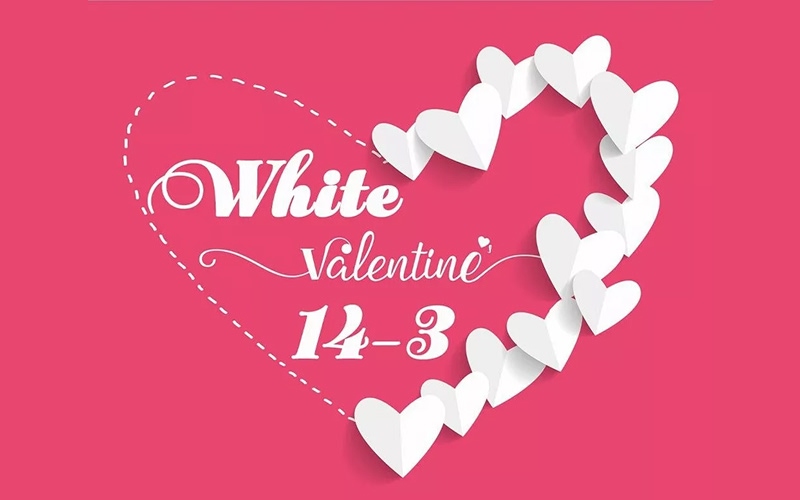 Mẫu 5: Cách viết thư từ chối tình cảm khéo léo