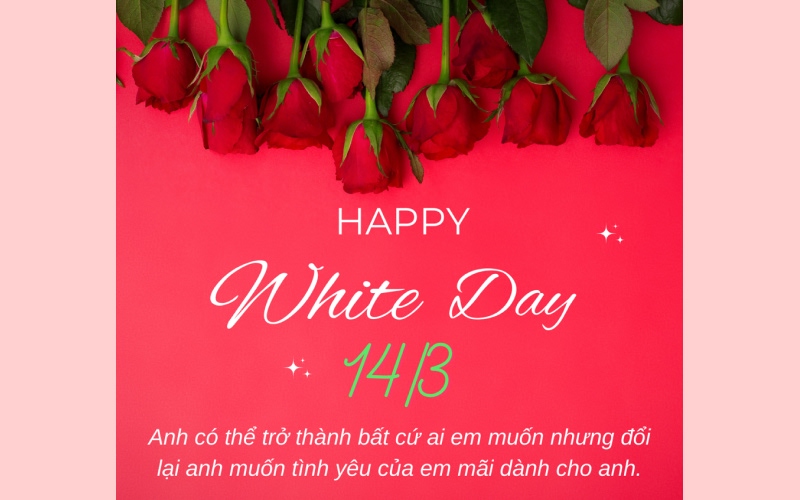 Mẫu 1: Dành cho người yêu lâu năm (Sâu sắc & Gắn kết)