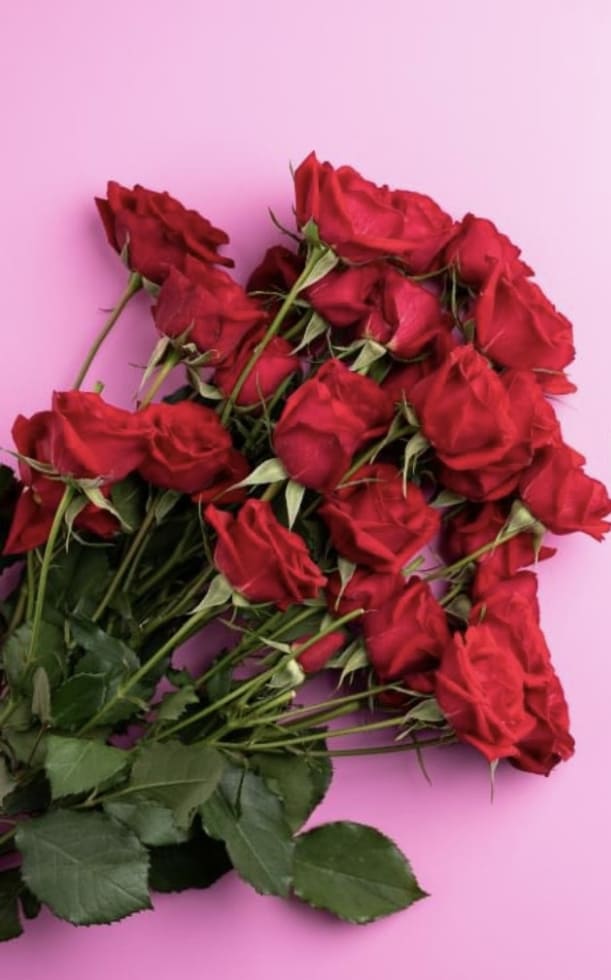 11 món quà tặng vợ ngày 20/3 khiến nàng cảm động và hạnh phúc