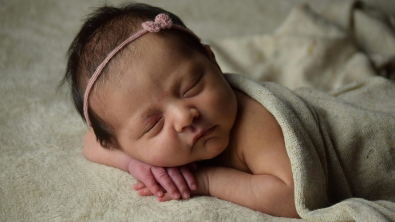 Trẻ Bính Ngọ 2026 thường thông minh, năng động, yêu tự do và giàu lòng nhân ái