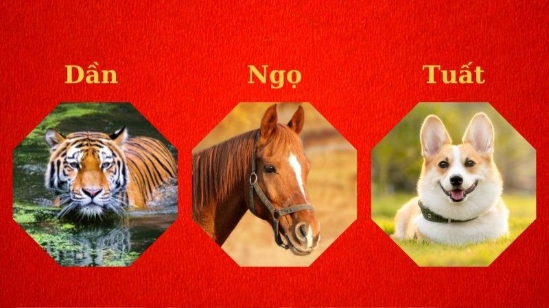 Bố mẹ tuổi Dần, Tuất, Mùi hoặc mệnh Kim, Mộc rất hợp sinh con năm 2026