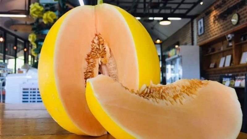 Dưa lê Kim Hoàng Hậu là dưa gì?