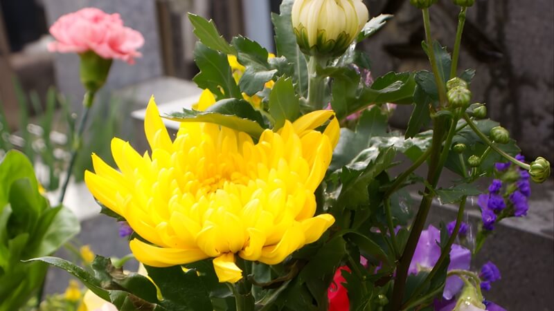 Các lễ vật đi kèm