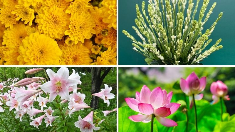 Hoa cúng Tết Thanh minh gồm những loại nào?