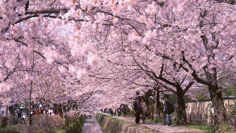 Con đường Triết gia (Kyoto)