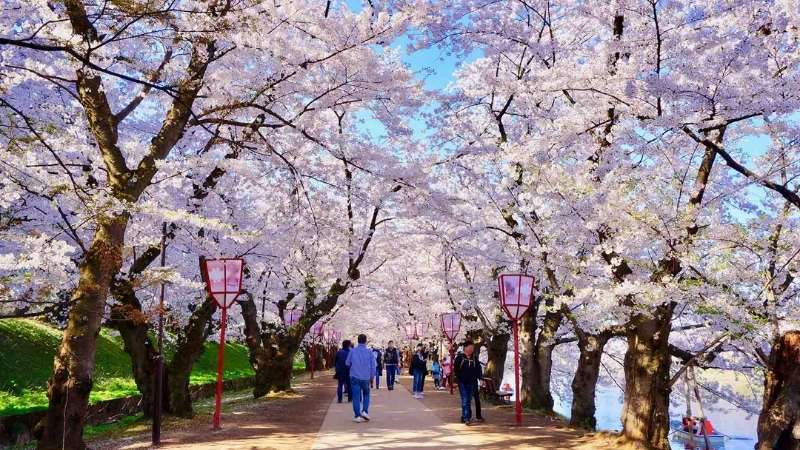 Chọn Tokyo nếu thích nhộn nhịp, hiện đại hoặc Kyoto để ngắm hoa bên đền chùa hoài cổ