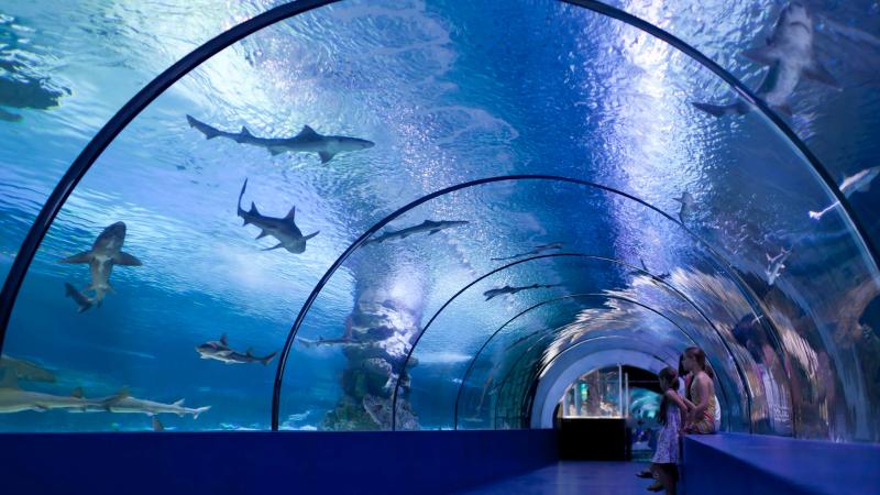 Thủy cung Kaiyukan