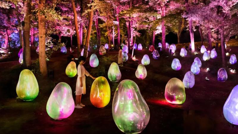 TeamLab Botanical Garden Osaka