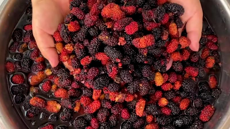 Sơ chế dâu tằm