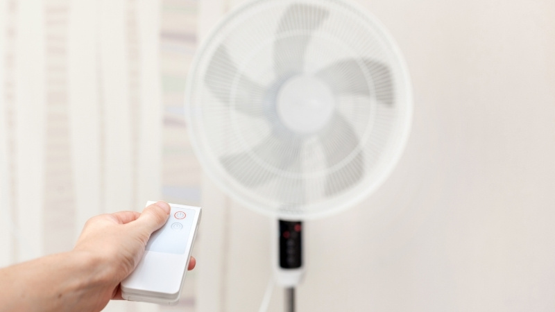 Chỉ nên bật quạt khi độ ẩm không khí thấp hoặc đã đóng kín cửa và bật máy hút ẩm