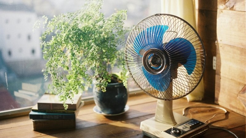 Đặt quạt đúng vị trí để lưu thông không khí