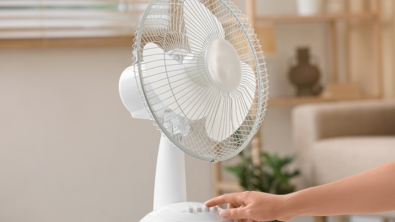 Bật quạt chỉ khiến hơi ẩm ngưng tụ nhanh hơn và làm sàn nhà càng thêm ướt át