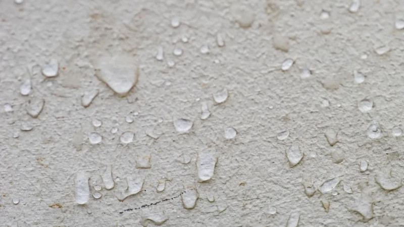 Sàn nhà trơn trượt, tường đổ mồ hôi và đồ dùng có mùi ẩm mốc là dấu hiệu rõ rệt nhất