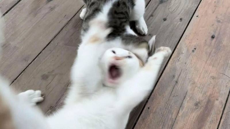 Caption ngắn gọn đăng Facebook