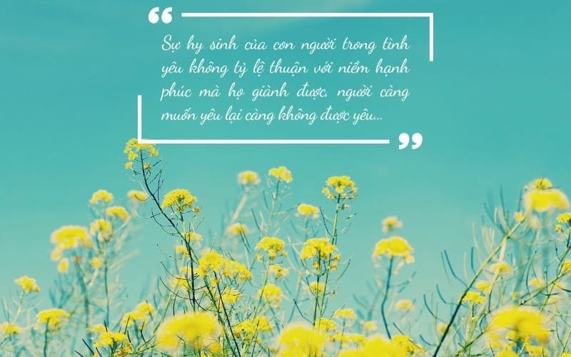 Những câu nói giúp con người hiểu giá trị hy sinh.