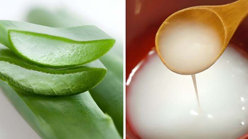 Nha đam kết hợp với nước vo gạo