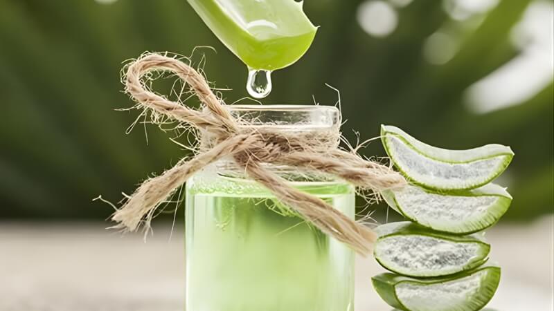  Vì sao nha đam giúp làm trắng da?