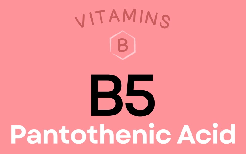 Vai trò của vitamin B5 đối với cơ thể