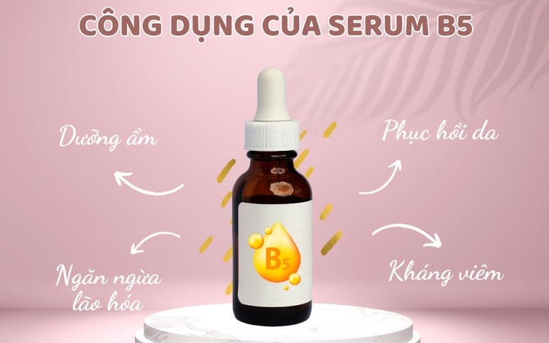 Hỗ trợ giảm mụn