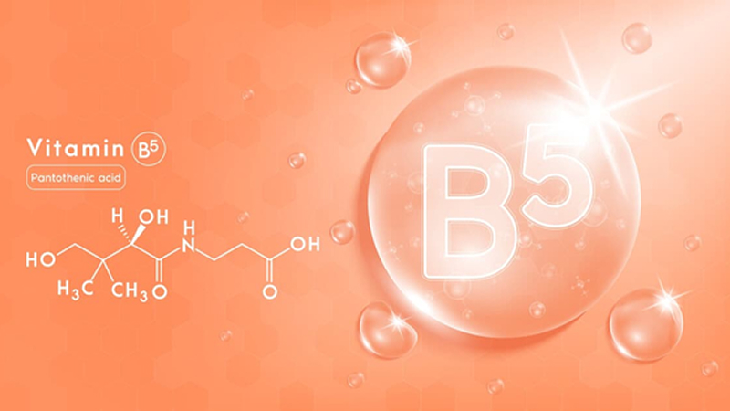 Vì sao vitamin B5 được dùng nhiều trong mỹ phẩm?