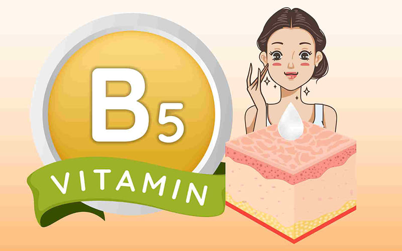 Khái niệm vitamin B5 (Panthenol)