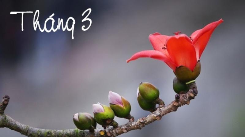 Đăng ảnh kèm caption tạm biệt tháng 3