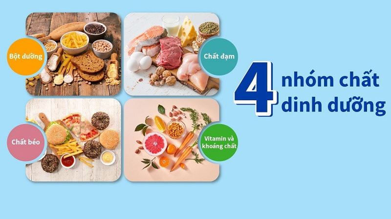Cân bằng tỷ lệ các nhóm chất dinh dưỡng Cân bằng tỷ lệ các nhóm chất dinh dưỡng