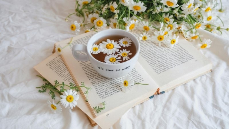 Thiên đạo thù cần - Trời đền công người cần cù