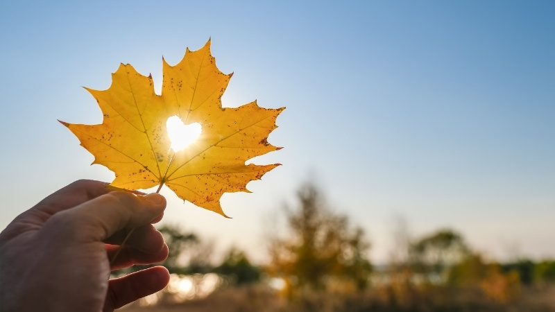 Kỷ sở bất dục, vật thi ư nhân