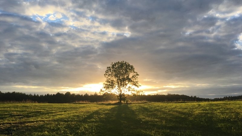 Châm ngôn Hán Việt về sự bình yên và lòng an nhiên