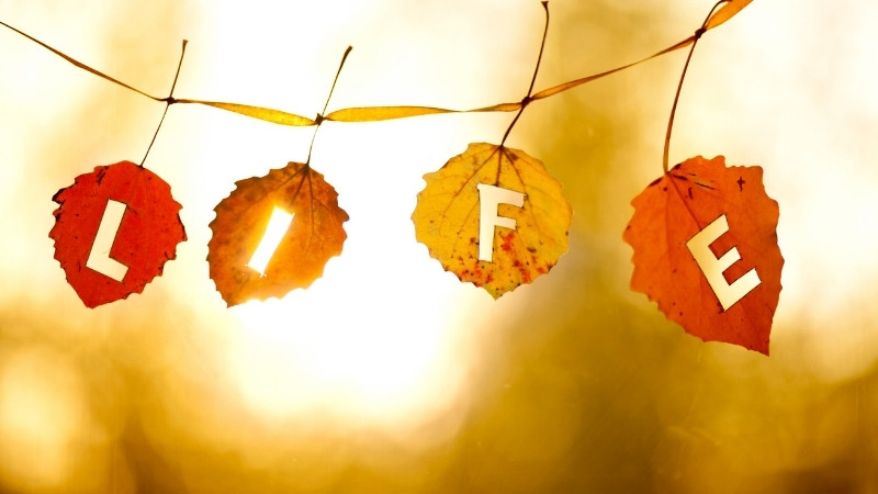 Những câu nói Hán Việt thâm thúy về lòng người và đối nhân xử thế